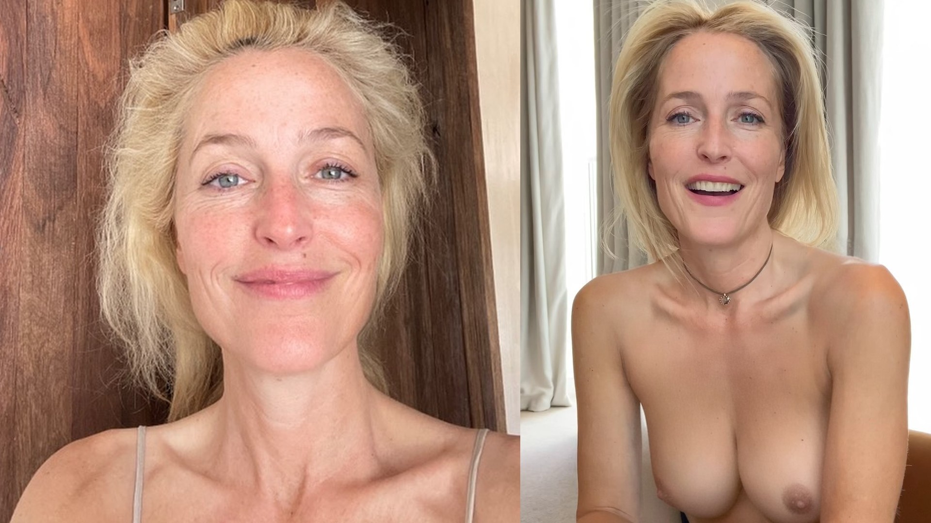 andrea stimson recommends Hairy shemail darko darkovski add gillian anderson nuda photo