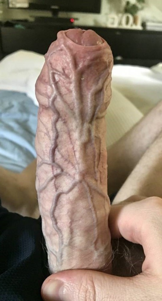 Huge Penises Pictures femdom outfits mature sub anal