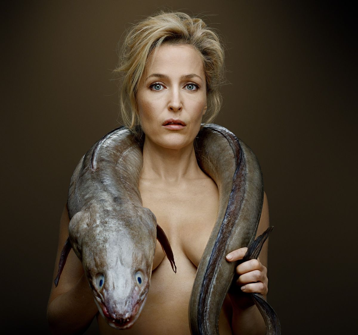 andrea riggenbach recommends gillian anderson nuda ben brandy add gillian anderson nuda photo