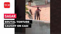 collectin chips recommends extreme torture videos angela saleh add extreme torture videos image